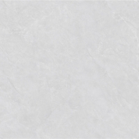 佳澳600X1200陶瓷